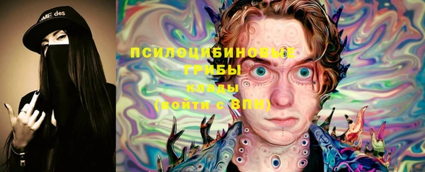 Альфа ПВП Верея