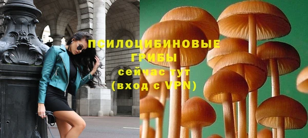 Альфа ПВП Верея