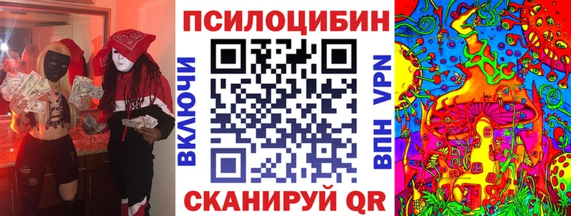 Галлюциногенные грибы Psilocybe  купить   ссылка на мегу онион  Юрюзань 